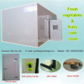 Fresh vegetables & fruits cold room